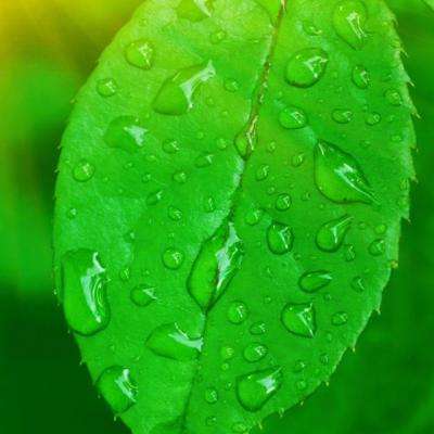 v体育胜利因你精彩